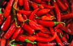 Red chilies from my vegetable garden