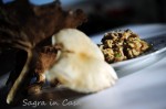 Wild mushrooms risotto